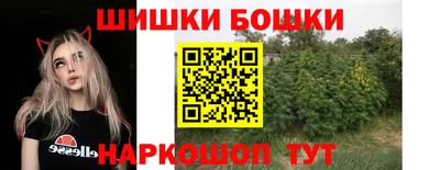 сатива Гай