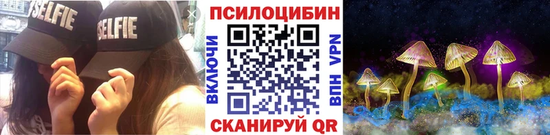 Псилоцибиновые грибы Psilocybine cubensis  Муравленко 