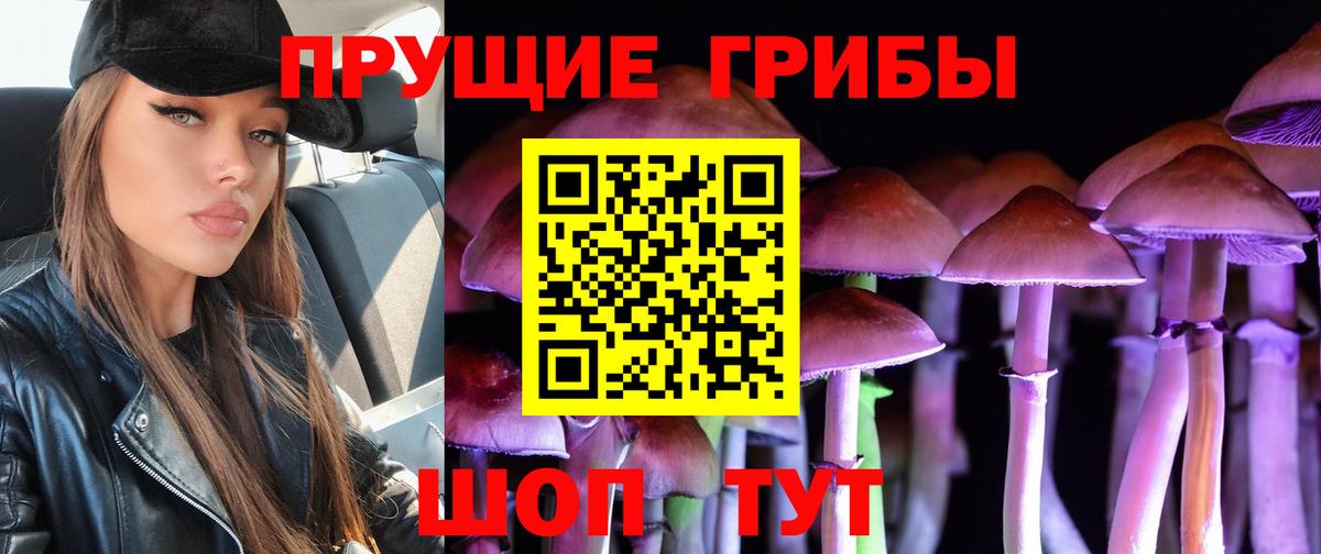 Галлюциногенные грибы Cubensis Муравленко