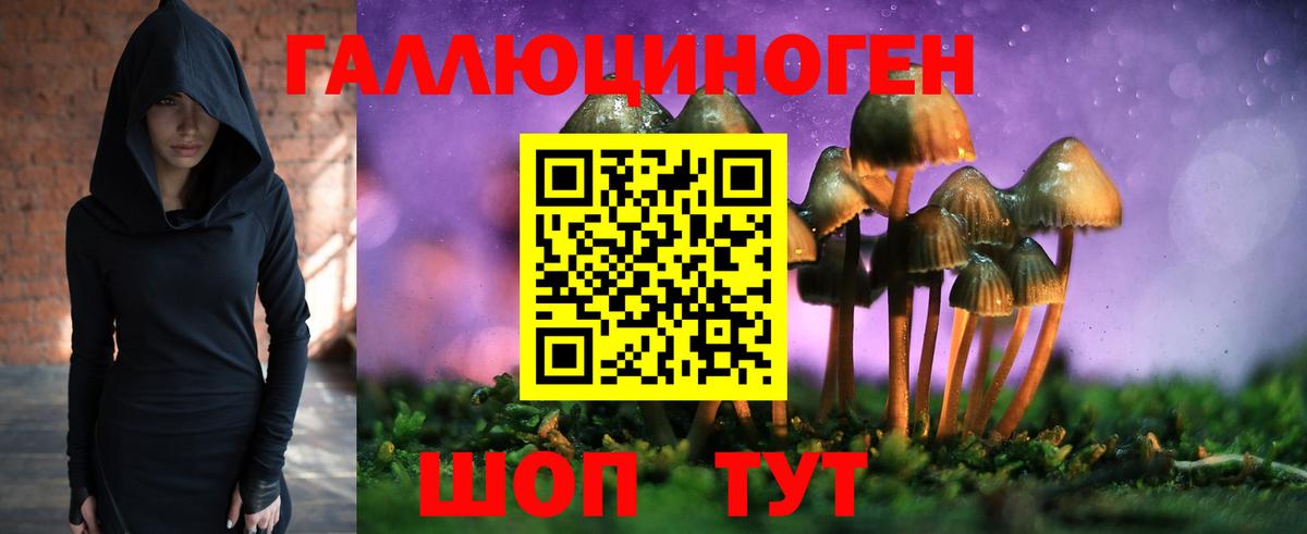 Муравленко  Галлюциногенные грибы мицелий  Псилоцибиновые грибы Psilocybine cubensis  Вход с VPN 